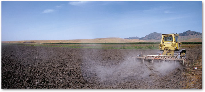 MAY in the rice fields, discing and preparing the ground.