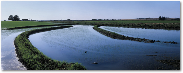 May Water Rising