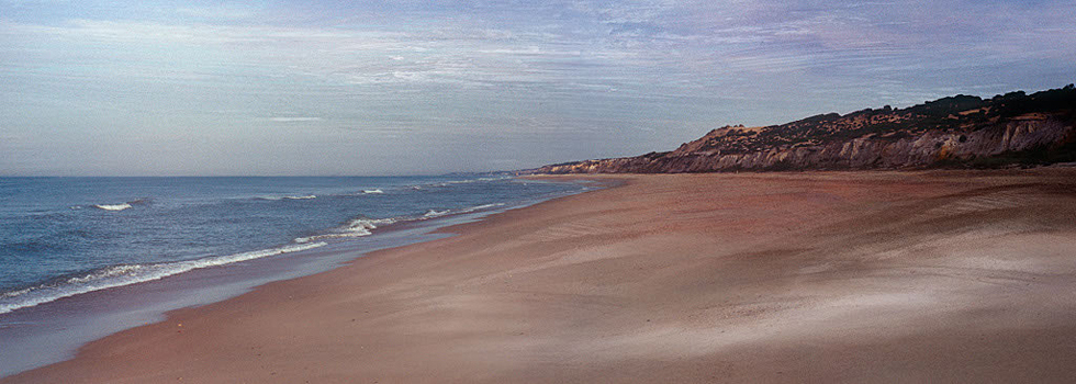 Doñana Beach, Spain