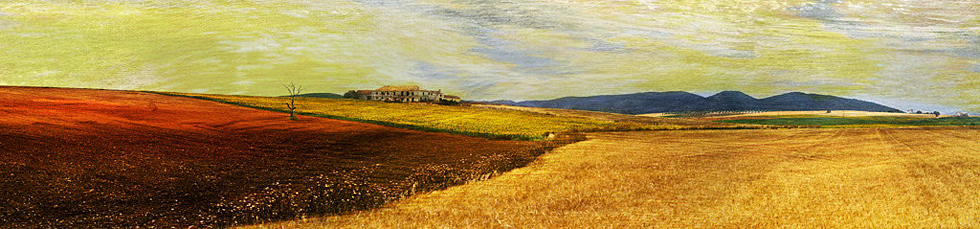 Fields II, Spain