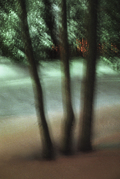 Three Trees, Red Lights