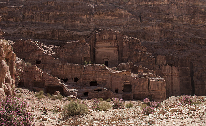 Cluster of Dwellings