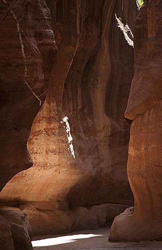  From Jordan - Walking the Siq, Petra 