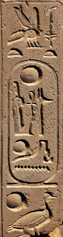 Cartouche 6