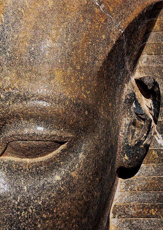 Sculpture Detail Eye and Ear