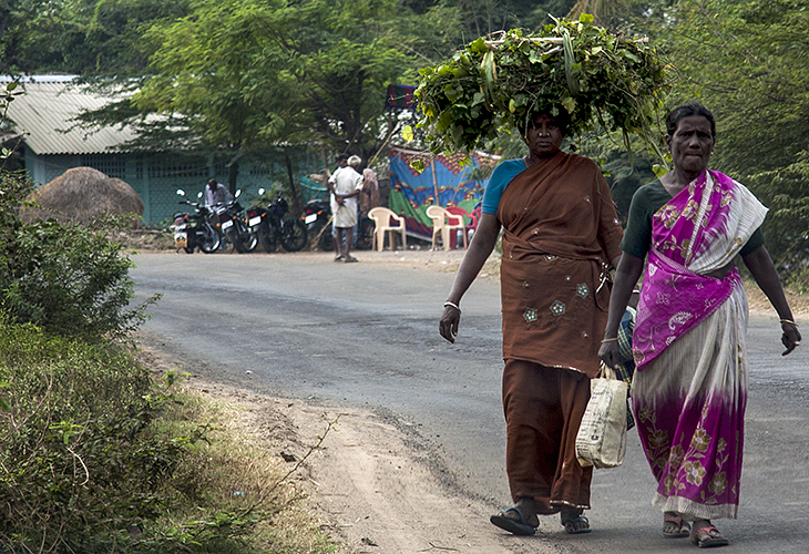 Kumbakkonam :: Ladies in Pink and Brown