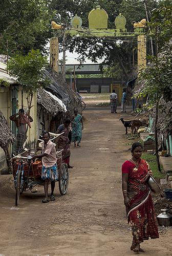 Tangore :: Red Sari and the Green Street