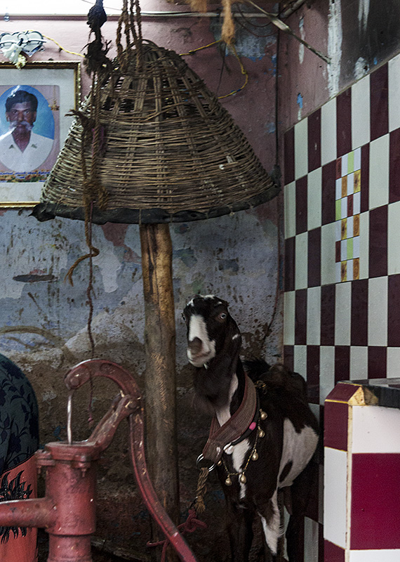 Madurai :: Black and White and Red