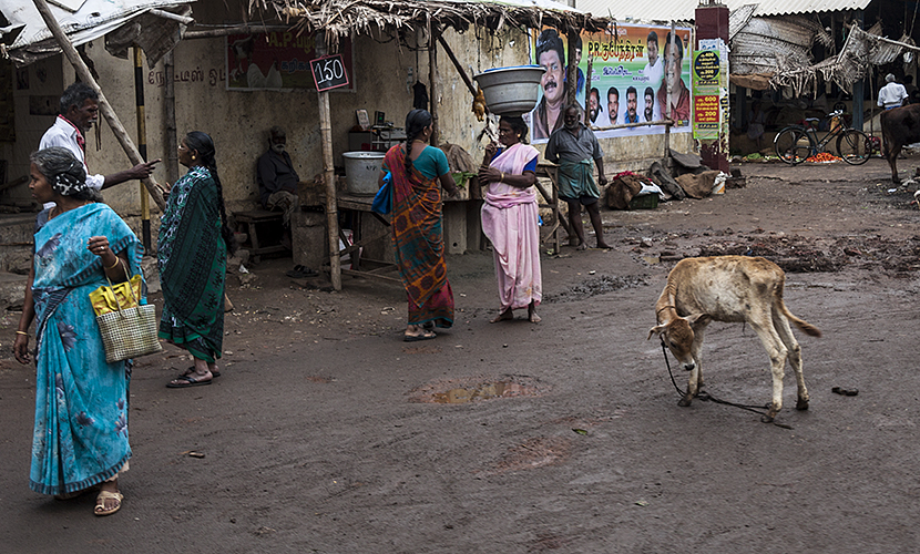 Madurai :: Ladies in Pink and Turpuoise