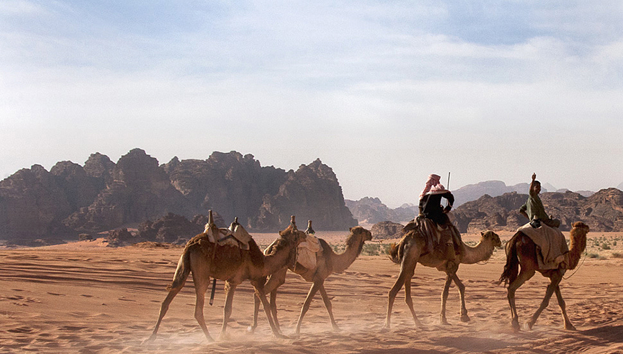 Bedouins heading back