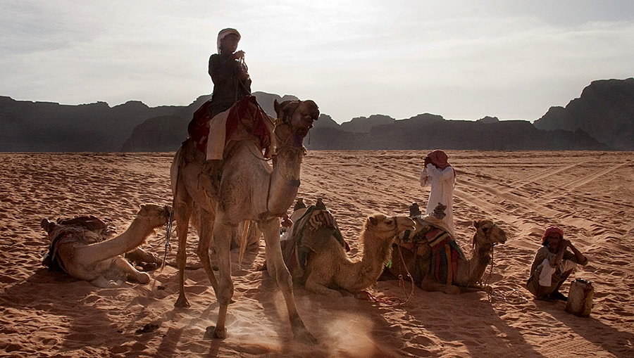 Bedouins Rest